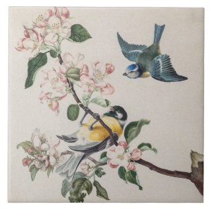 Carreau Deux mésanges vintages sur un pommier
