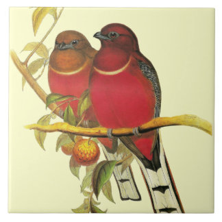 Carreau Deux oiseaux colorés