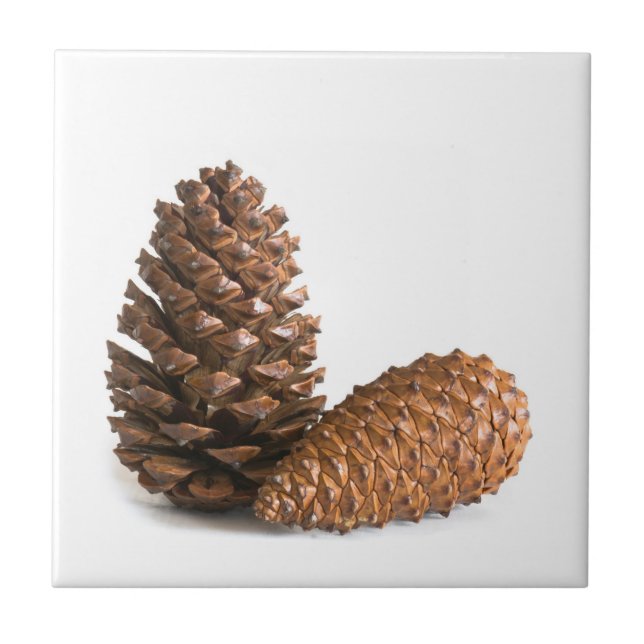 Carreau Deux pinecones (Devant)