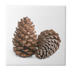Carreau Deux pinecones
