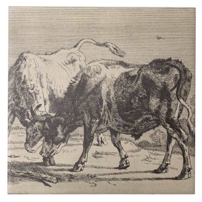 Carreau Deux taureaux combattant (de Paulus Potter) (Devant)