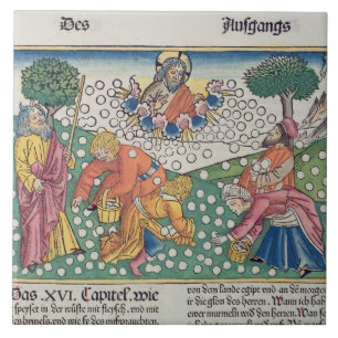 Carreau Dieu 13-22 de l'exode 16 fournit les cailles et la