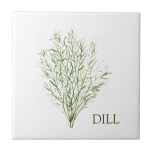 Carreau Dill Herb Green Cuisine Cuisine culinaire vert Pla