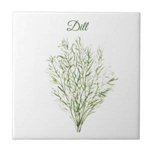 Carreau Dill Herb Green Cuisine Cuisine culinaire vert Pla