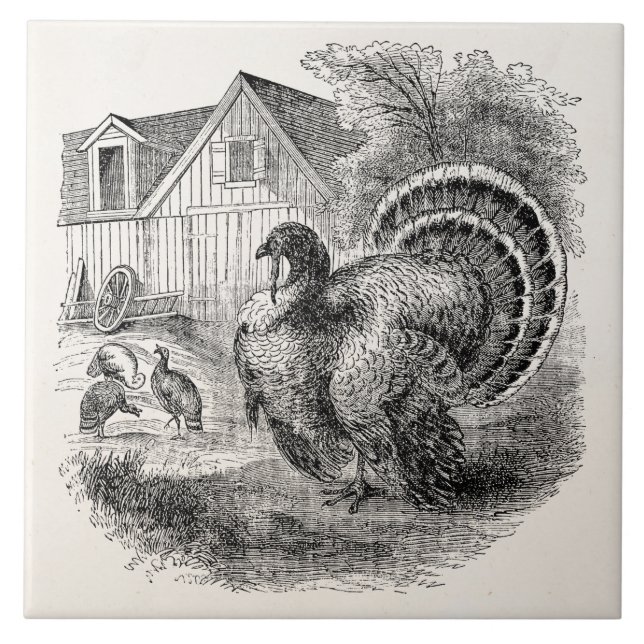 Carreau Dindes vintages - oiseaux personnalisés de la (Devant)
