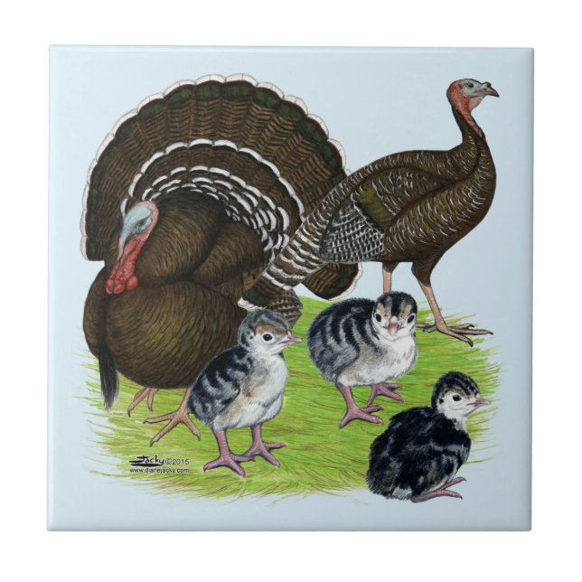 Carreau Dindon Bronze Standard Familial (Devant)