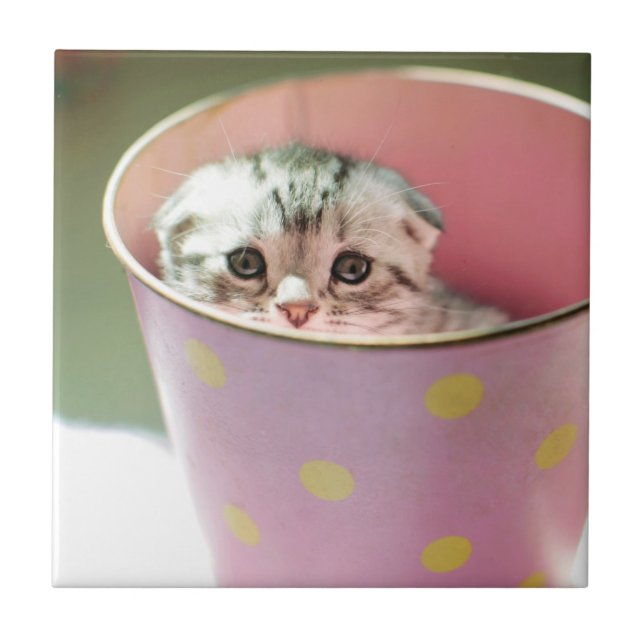 Carreau Dissimulation de chaton (Devant)