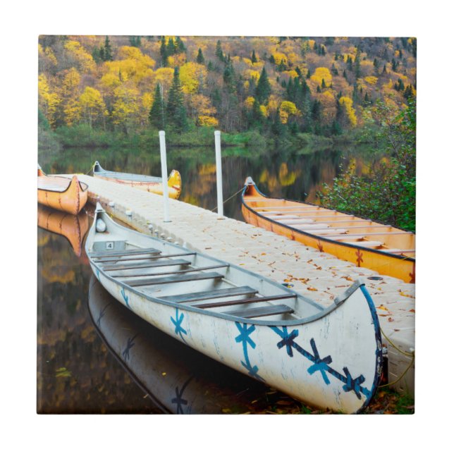 Carreau Dock de Rivière Jacques-Cartier | Rabaskas (Devant)