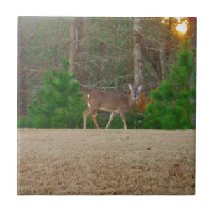 Carreau Doe a Deer & Pine Trees