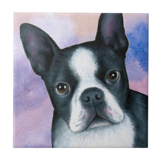 Carreau dog 128 color Boston Terrier (Devant)