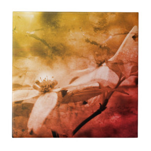 Carreau Dogwood Fleur Noir Et Blanc Vintage
