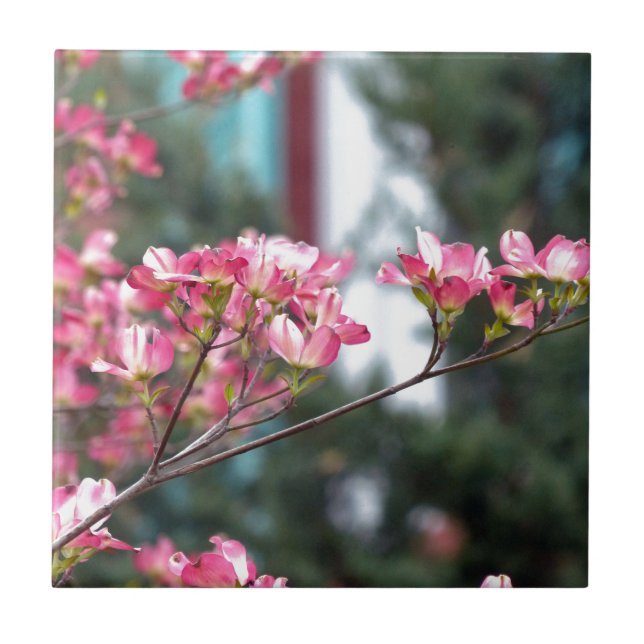 Carreau Dogwood rose (Devant)