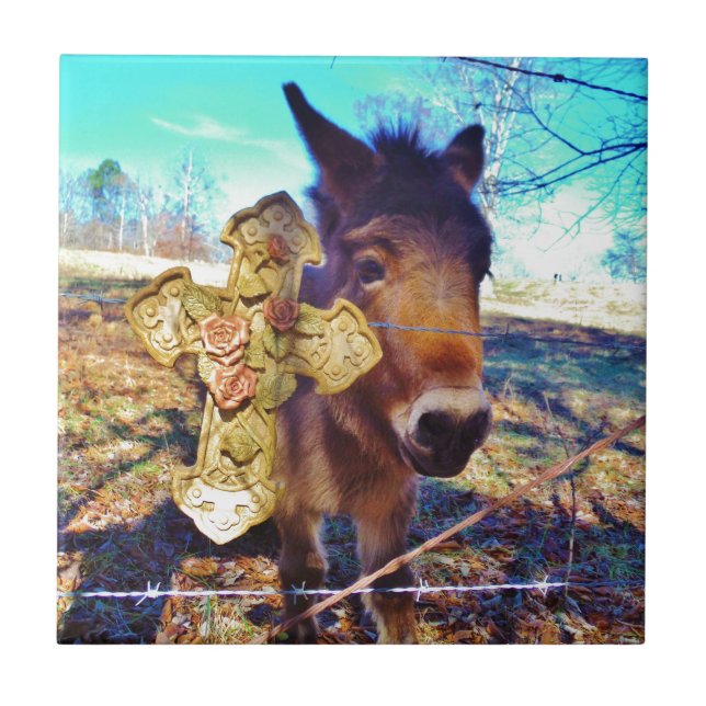 Carreau Donkey avec croix Rose (Devant)