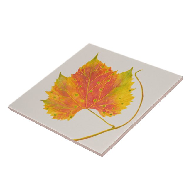 Carreau Dotty Spotty Fall sur un carrelage en céramique (Côté)