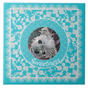 Carreau Douceur-Aqua-Chiot-Carré-CUSTOM-PHOTO-MODÈLE-
