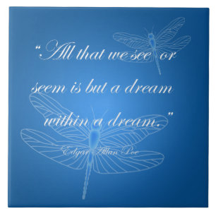 Carreau Dragonflies Dream Dragonfly Quote 20"