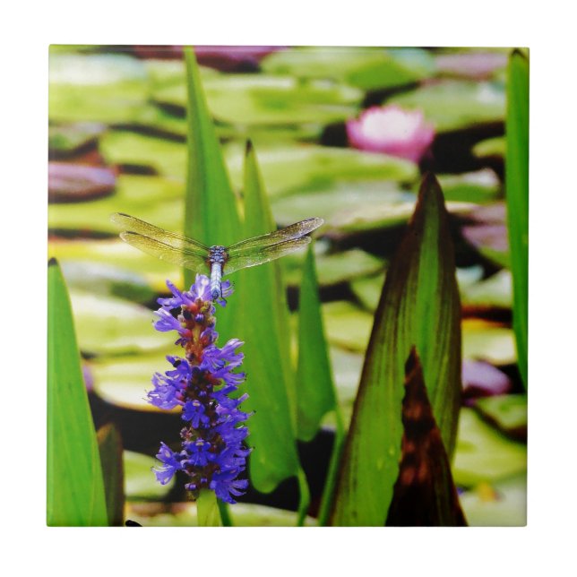 Carreau Dragonfly lotus and purple flower (Devant)
