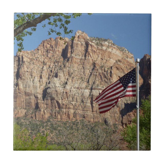 Carreau Drapeau américain dans le parc national de Zion I (Devant)