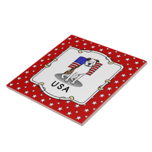 Carreau Drapeau américain Taureau (lb brindle blanc 3)