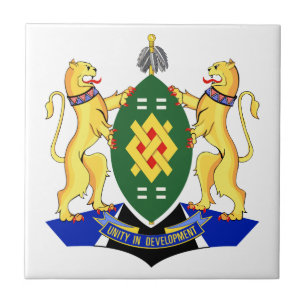 Carreau Drapeau de Johannesburg