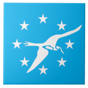 Carreau Drapeau de la ville de Corpus Christi