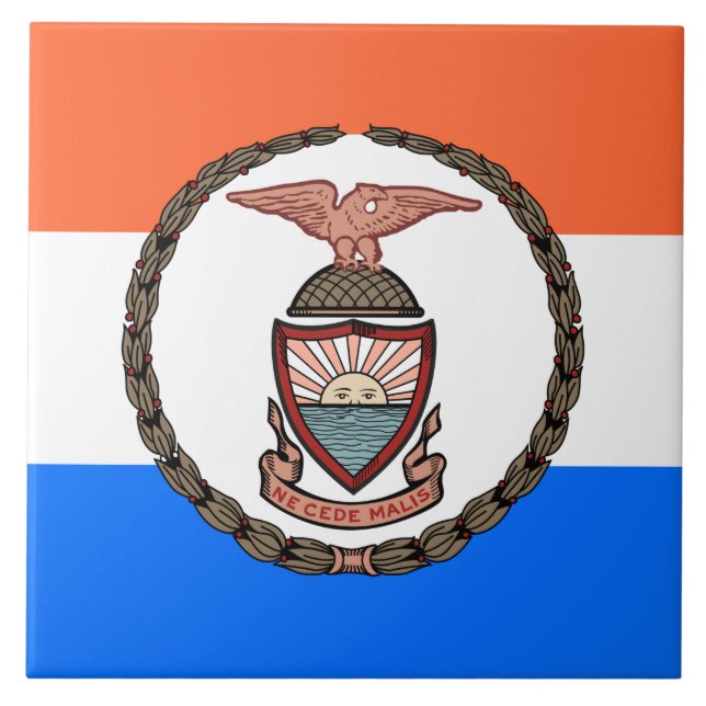 Carreau Drapeau du Bronx (arrondissement de New York) (Devant)