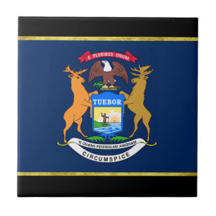 Carreau Drapeau du Michigan