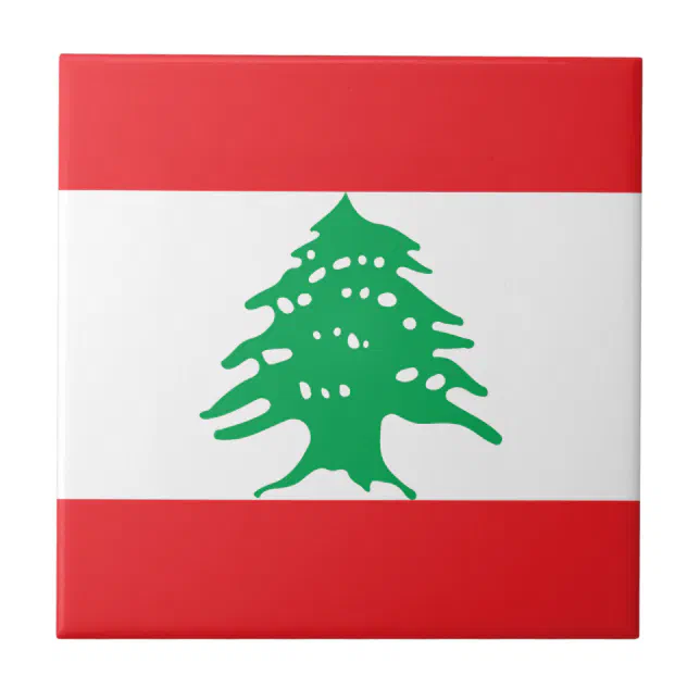 Akachafactory Fanion Mini Drapeau Pays Voiture Decoration guyane
