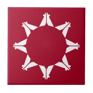 Carreau Drapeau sioux oglala lakota