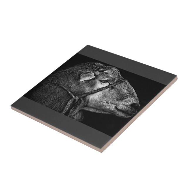 Carreau droit (Côté)