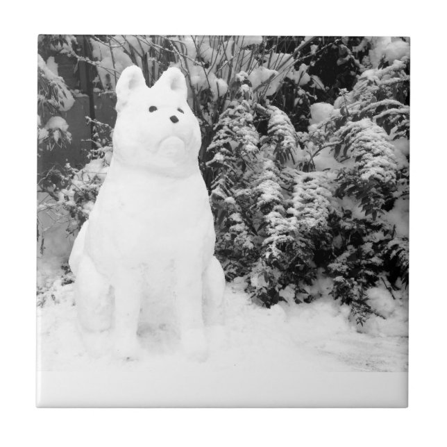 Carreau drôle akita snowdog bonhomme de neige Noël (Devant)