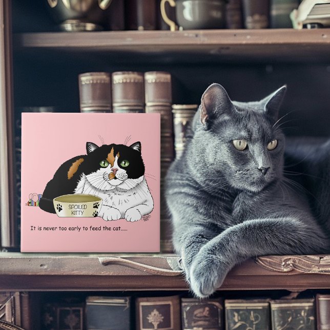 Carreau Drôle Chat Tacheté Gâté Nourrir Rose (Créateur téléchargé)