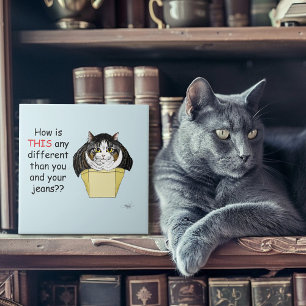 Carreau Drôle Chubby Tabby Boîte à chat