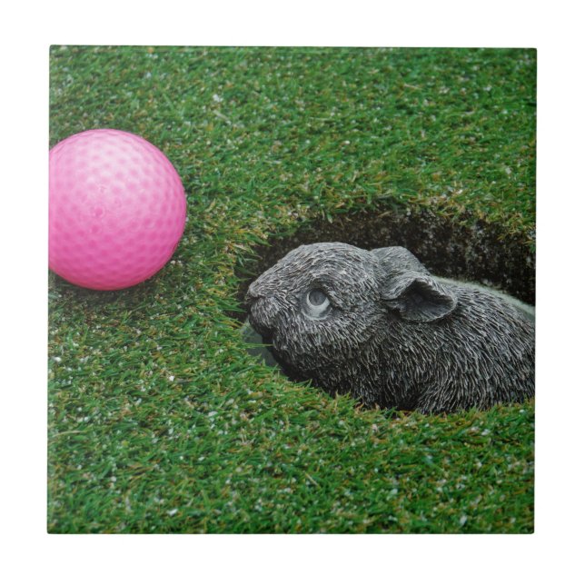 CARREAU DSCF0652.JPG (Devant)