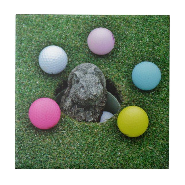 CARREAU DSCF0698.JPG (Devant)