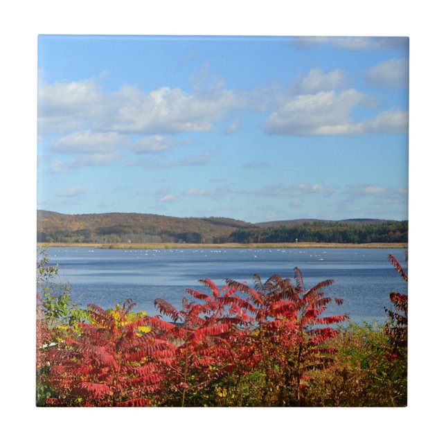 Carreau du fleuve Connecticut (Devant)