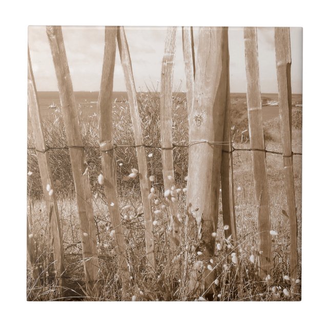 Carreau dune (Devant)