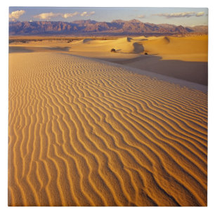 Carreau Dunes de sable de Mesquite Flat dans la vallée de