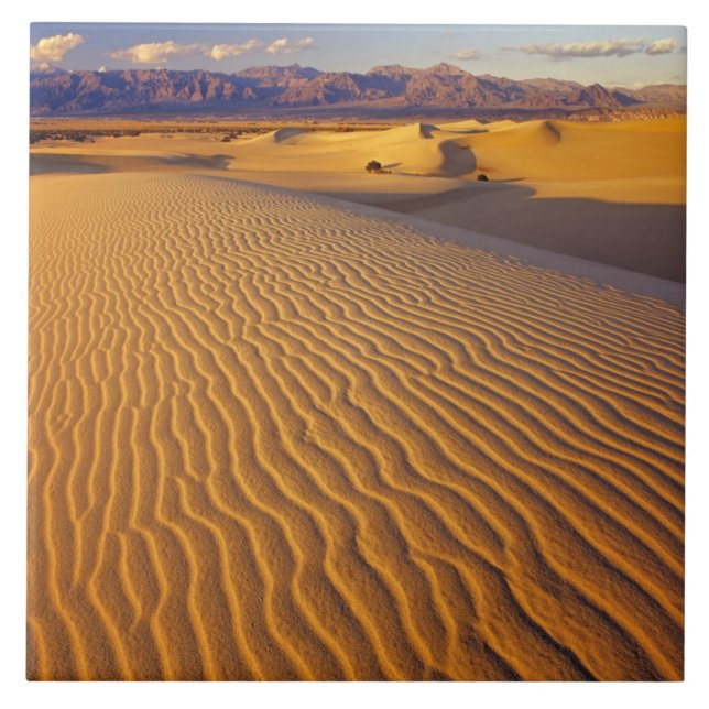 Carreau Dunes de sable de Mesquite Flat dans la vallée de  (Devant)
