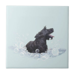 Carreau Durée du bain