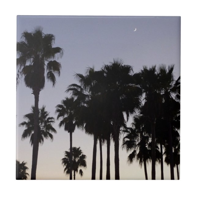 Carreau Dusk avec palmiers Scène tropicale (Devant)