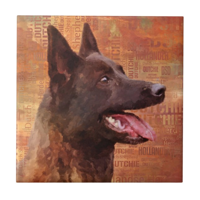 Carreau Dutch Shepherd - Illustration utchie (Devant)