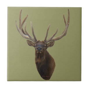 Carreau E48 Tête d'élans à velours