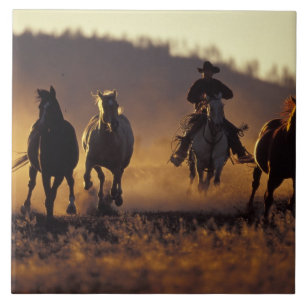 Carreau É.-U., États-Unis, Oregon, Seneca, Ponderosa Ranch