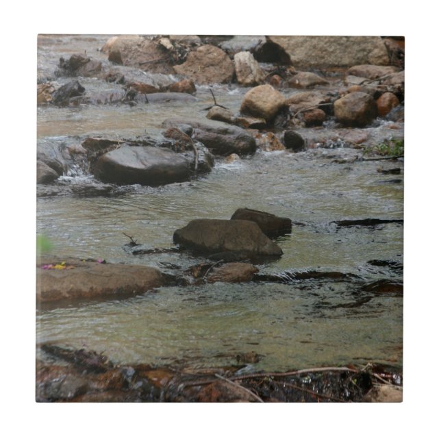 Carreau Eau de rivière  (Devant)
