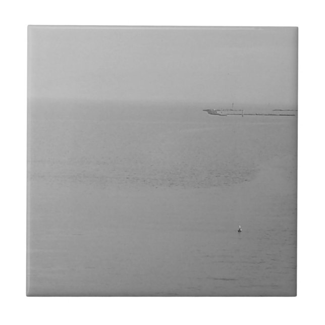 Carreau Eau gazeuse grise avec mouette (Devant)