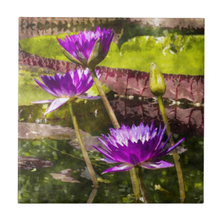 Carreau Eau Lily Pond