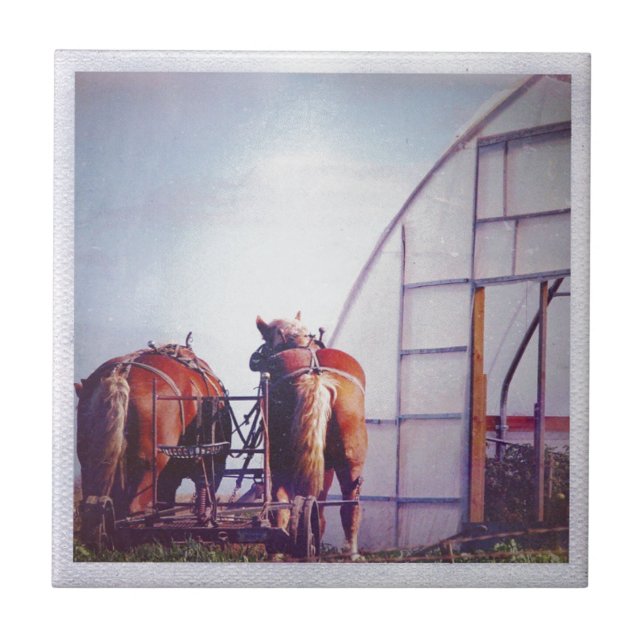 Carreau Ébauche Chevaux Prêt Pour Le Travail (Devant)