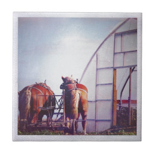 Carreau Ébauche De Chevaux Prêts Au Travail
