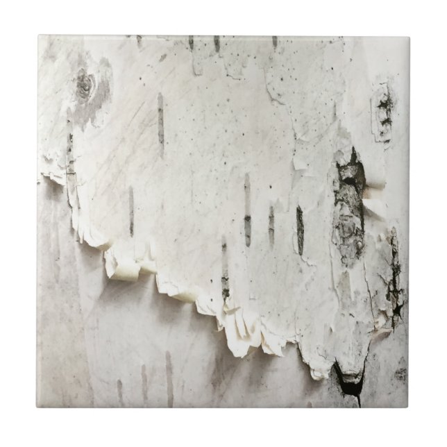 Carreau Écorce de Birch (Devant)